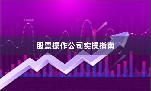 股票操作公司实操指南