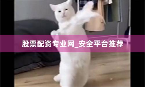 股票配资专业网_安全平台推荐